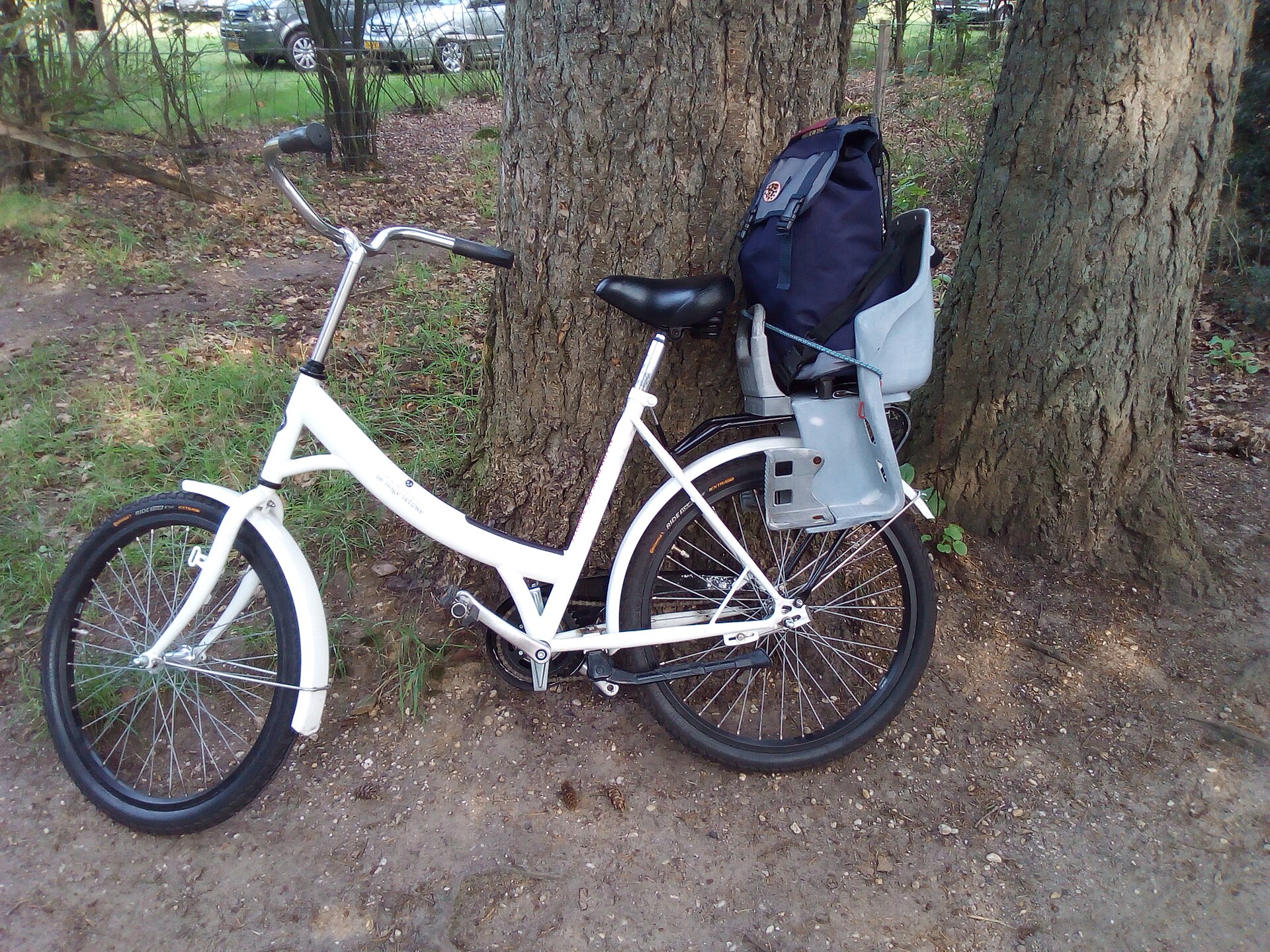 Fietsen door Gelderland