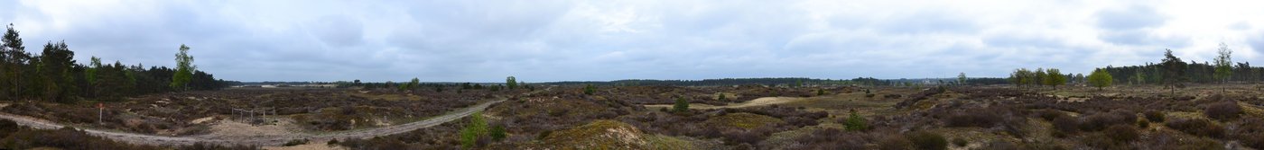 Kootwijkerzand