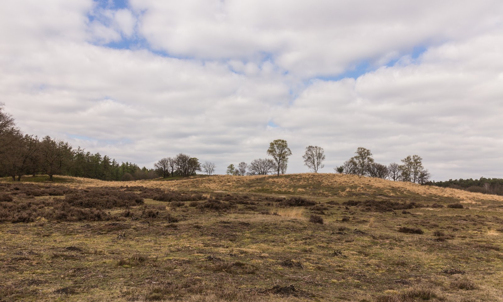 Coulisselandschap Winterswijk
