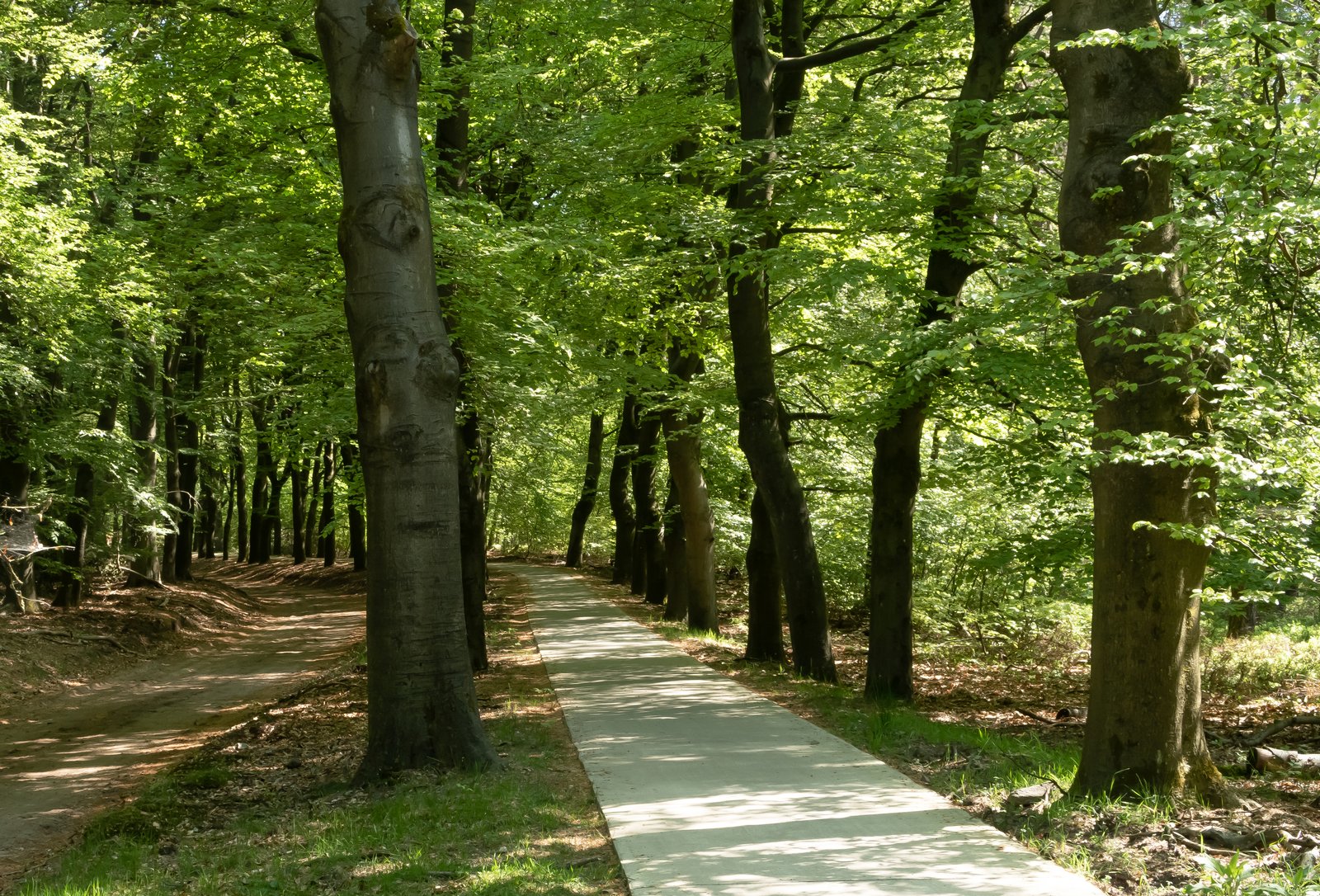 Nationaal Park Veluwezoom